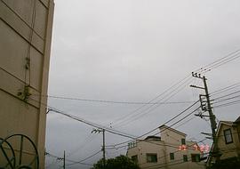 箭内梦菜
