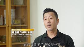 林迪安