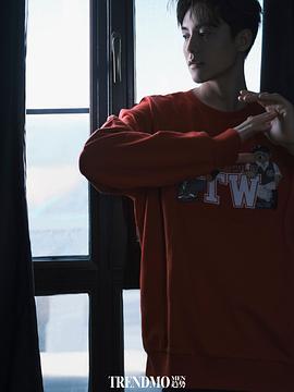 马天宇