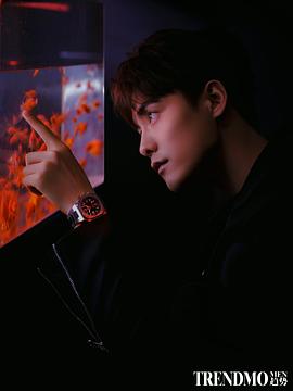 马天宇