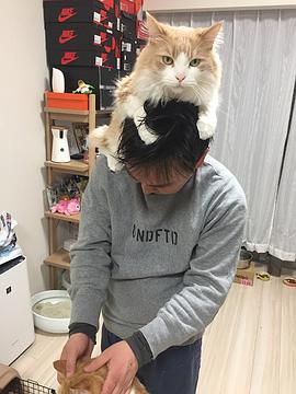 山内健司