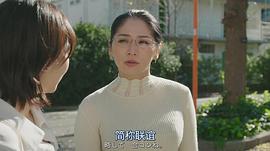 野波麻帆