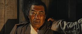 王双宝