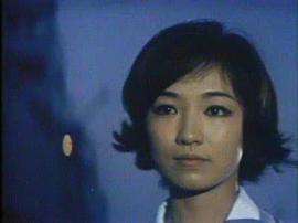 芦川泉