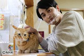 中村苍