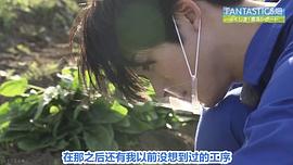 泽本夏辉