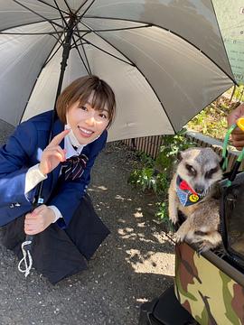 白石圣