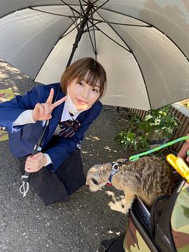 白石圣