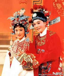 丁赛君