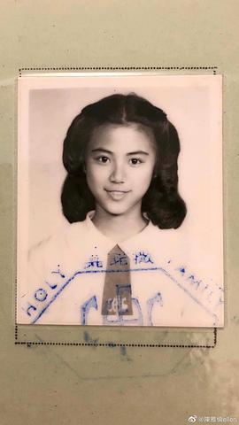 陈雅伦
