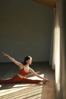 陈数