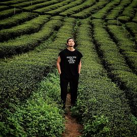 友塔纳·布格朗