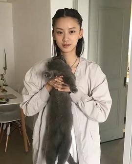 袁澧林