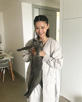 袁澧林
