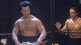 杨斯