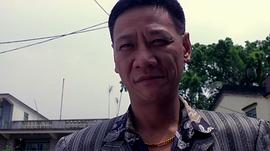 何家驹