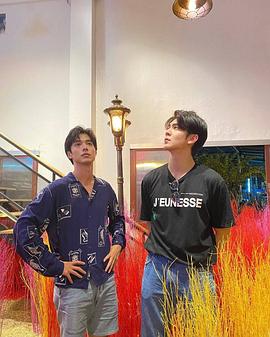 瓦西拉维奇·哇塔纳帕迪派善