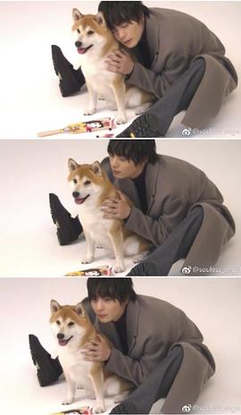 犬饲贵丈