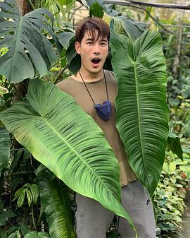 朴朴·彭帕努
