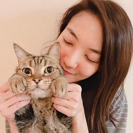 陈庭萱