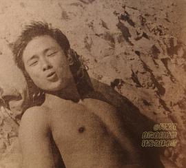 王羽