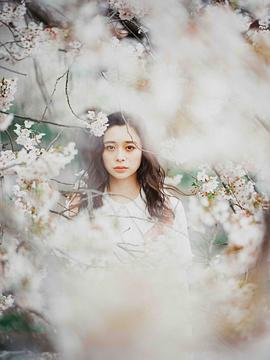 田锅梨梨花