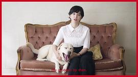 泷川雅美