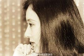 陈晓旭