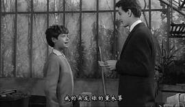 迪戴·豪德品