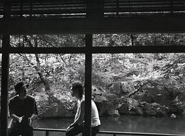 冢本晋也