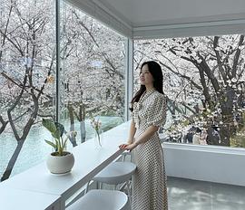 朴宝英