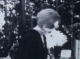 弗吉尼亚·切瑞尔