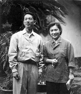 秦怡