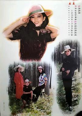 高宝宝