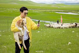 王彦霖