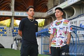 刘少林