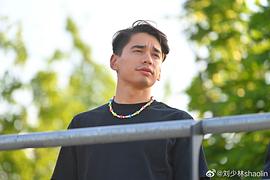 刘少林