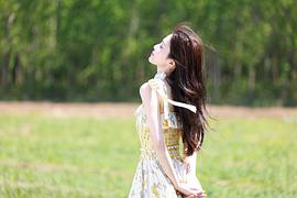 白鹿
