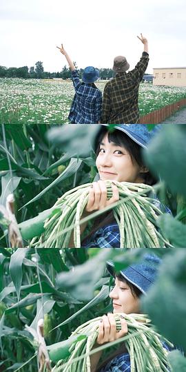 王智