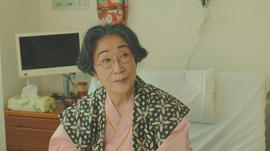 木野花