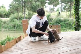 张翰