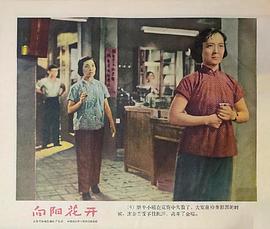 王丹凤