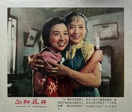 王丹凤