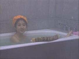 泽口遥