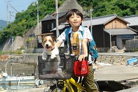 武井证