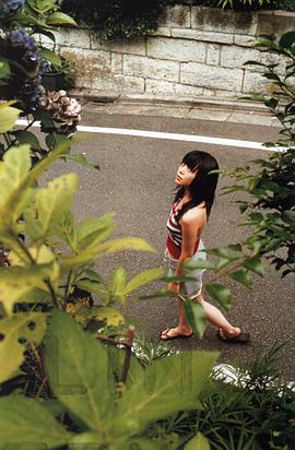 鸫