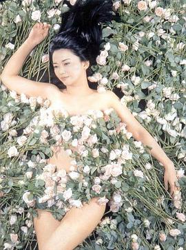 胡慧中