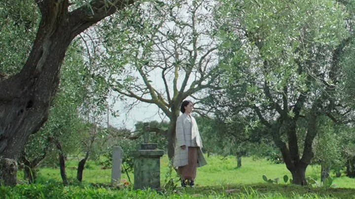 MV：张碧晨演唱主题曲《为什么我好想告诉他我是谁》 (中文字幕)