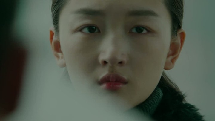 预告片：情感版 (中文字幕)