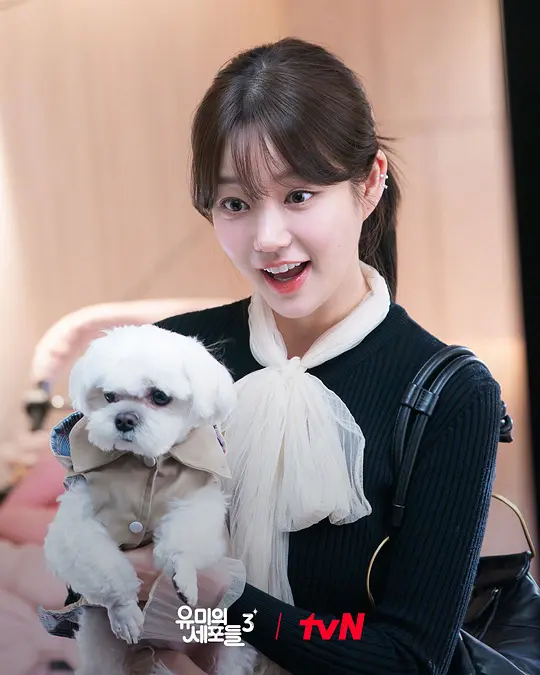 柔美的细胞小将 第三季